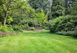 Optimiser l'expérience du jardin à Saint-Etienne-de-Brillouet